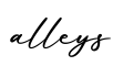 单词alleys书写
