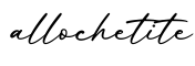 单词allochetite书写