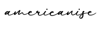 单词americanise书写