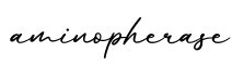 单词aminopherase书写