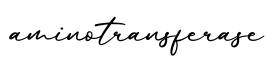 单词aminotransferase书写