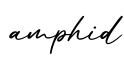 单词amphid书写