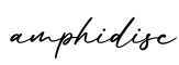 单词amphidisc书写