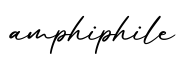 单词amphiphile书写