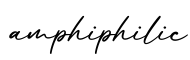 单词amphiphilic书写
