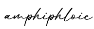 单词amphiphloic书写