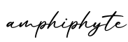 单词amphiphyte书写