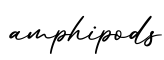 单词amphipods书写