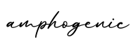 单词amphogenic书写