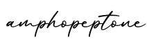 单词amphopeptone书写