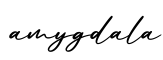 单词amygdala书写