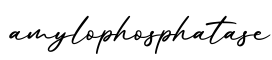 单词amylophosphatase书写