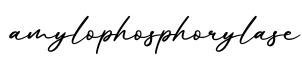 单词amylophosphorylase书写