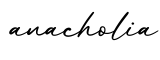 单词anacholia书写