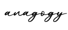 单词anagogy书写