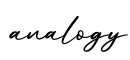 单词analogy书写