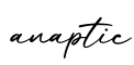 单词anaptic书写