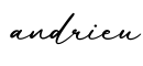 单词andrieu书写