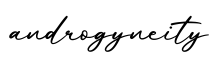 单词androgyneity书写
