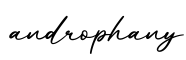 单词androphany书写