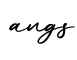 单词angs书写