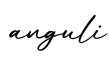 单词anguli书写