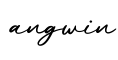 单词angwin书写