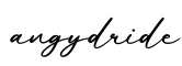 单词angydride书写