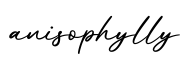 单词anisophylly书写