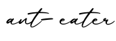 单词ant-eater书写