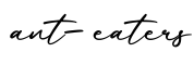 单词ant-eaters书写