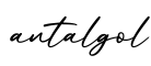 单词antalgol书写