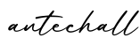 单词antechall书写