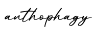 单词anthophagy书写