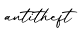 单词antitheft书写