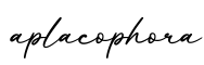 单词aplacophora书写