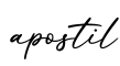 单词apostil书写