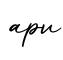 单词apv书写