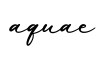 单词aquae书写
