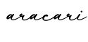 单词aracari书写