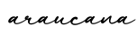 单词araucana书写