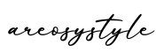 单词areosystyle书写