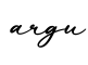单词argu书写