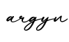 单词argyn书写