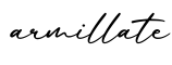 单词armillate书写