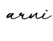 单词arni书写