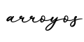 单词arroyos书写