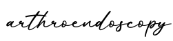 单词arthroendoscopy书写