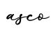 单词asco书写