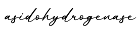 单词asidohydrogenase书写